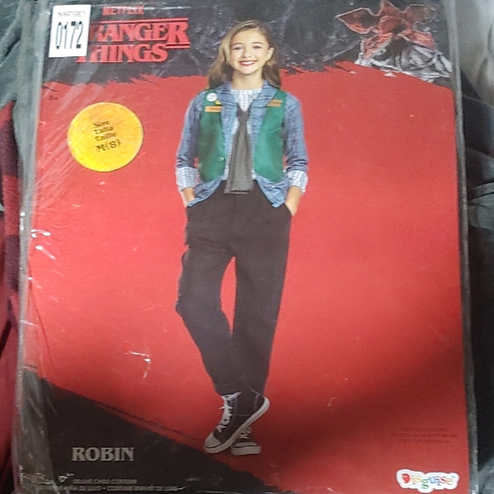 Disguise Robin Costume with Green and Blue